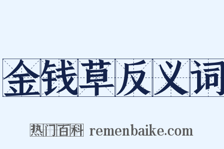 金钱草反义词是什么意思的图片